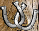 Upturned horseshoes on wood for good luck