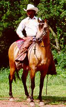 Miles Dean on his horse Sankofa